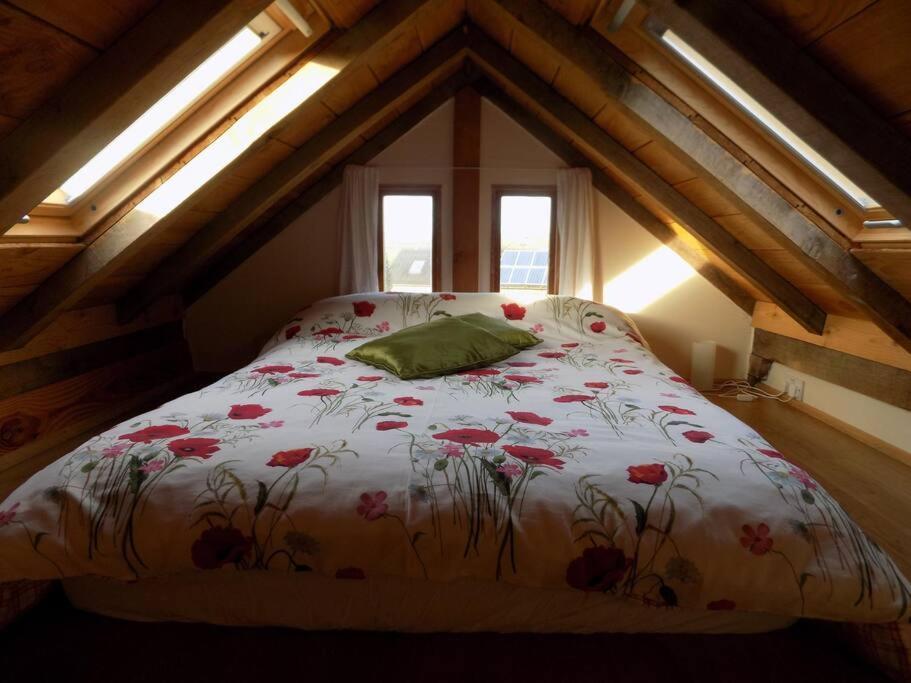 Log Cabin At The Old Summer Dairy Glastonbury Somerton  Luaran gambar